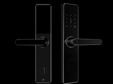 青松沃德-Wi-Fi 指紋鎖家用防盜門智能門鎖密碼鎖刷卡電子鎖 防磁干擾 防撬 L9-WT (不含鎖體，鎖體需另購）